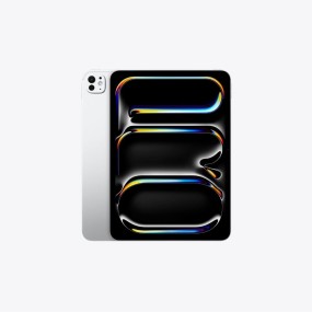 Apple iPad Pro 11" (Chip M5) - 256GB - Wi-Fi - Usato 2 Mesi + Custodia e Valigetta - Pari al Nuovo