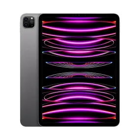 iPad Pro 256GB WiFi usato – Con accessori inclusi