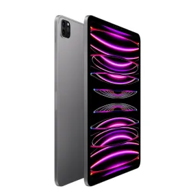 iPad Pro 256GB WiFi usato – Con accessori inclusi