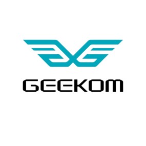 Geekom Mini PC | Workstation Compatte Nuove e Usate - TP Store